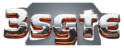 3sgte logo
